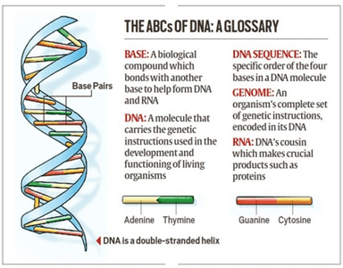 First Successful Use of Custom Gene Editing Treatment